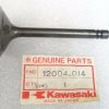 kawasaki ,12004-014	, keng1