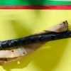 Yamaha OEM,Silencer, Exhaust ,171-14753-01-00 , YDS5E , DS6B , DS6C , bul