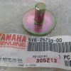 Yamaha 5V6-25733-00-00 , PLATE, BACK UP , ymisc1