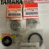 yamaha ,JT1/JT2 FRONT WHEEL BEARING AND SEAL KIT, brkit1