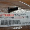 Yamaha 98906-06025-00 Superseded by 98907-06025-00 - SCREW,BIND , screwph2