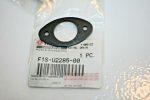 Yamaha F1S-U2285-00-00 DRAIN PACKING , g1