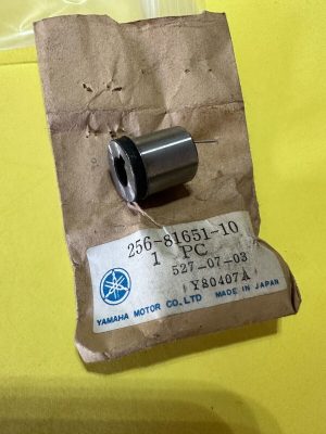 Yamaha, 256-81651-10-00 CAM , ign9