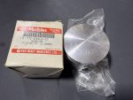 POLARIS OEM PISTON,(.25MM O/S) (.010/0.25MM O/S) | 3085100 , 170-23402-01 , p21