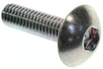 Metal screw with a wide rounded pan head and a hex socket drive, shown in close-up against a white background.