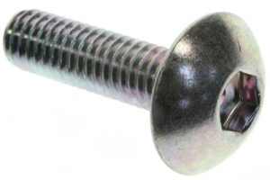 Metal screw with a wide rounded pan head and a hex socket drive, shown in close-up against a white background.