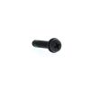 Black screw with a Phillips (cross) head and threaded shaft on a white background, photographed close-up.