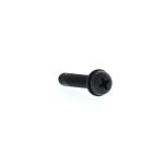 Black screw with a Phillips (cross) head and threaded shaft on a white background, photographed close-up.